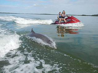 Dolphin Adventure Tours in Fort Myers Beach