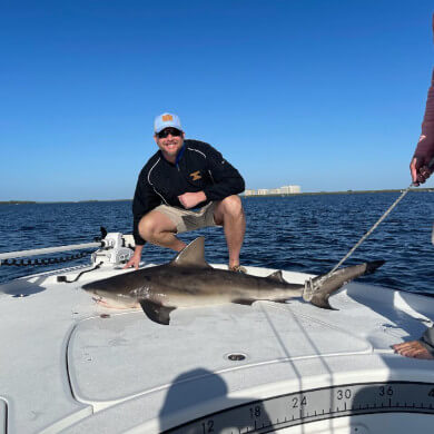Group Catches Shark
